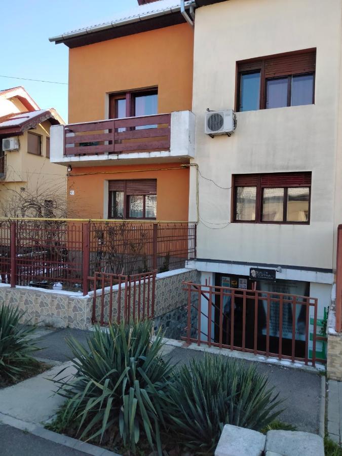 Apartament Cu Terasa La Casa Tina Timişoara Exterior foto