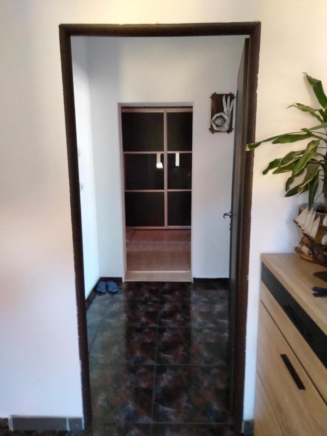 Apartament Cu Terasa La Casa Tina Timişoara Exterior foto