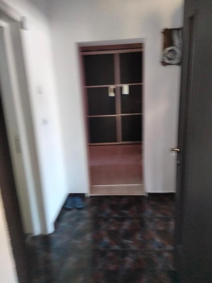 Apartament Cu Terasa La Casa Tina Timişoara Exterior foto
