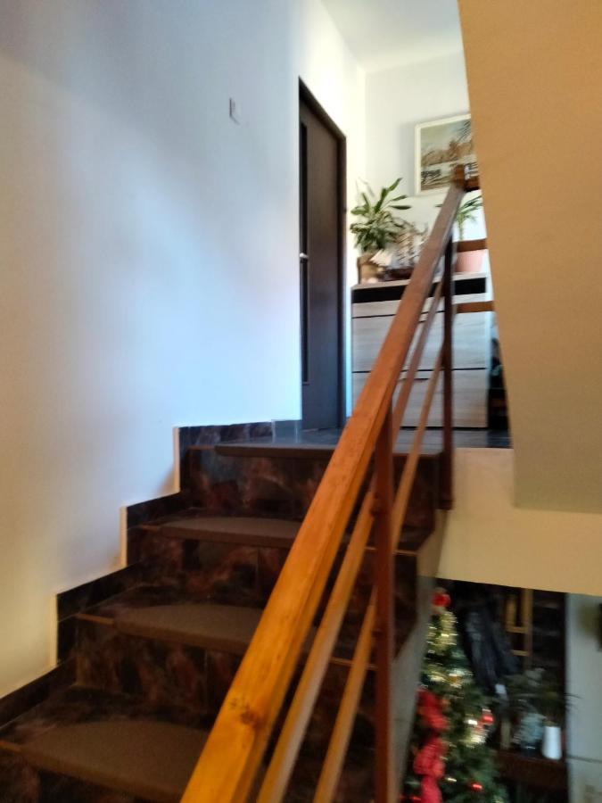 Apartament Cu Terasa La Casa Tina Timişoara Exterior foto
