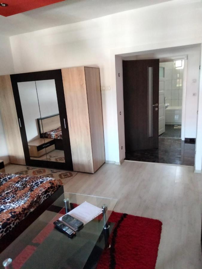 Apartament Cu Terasa La Casa Tina Timişoara Exterior foto