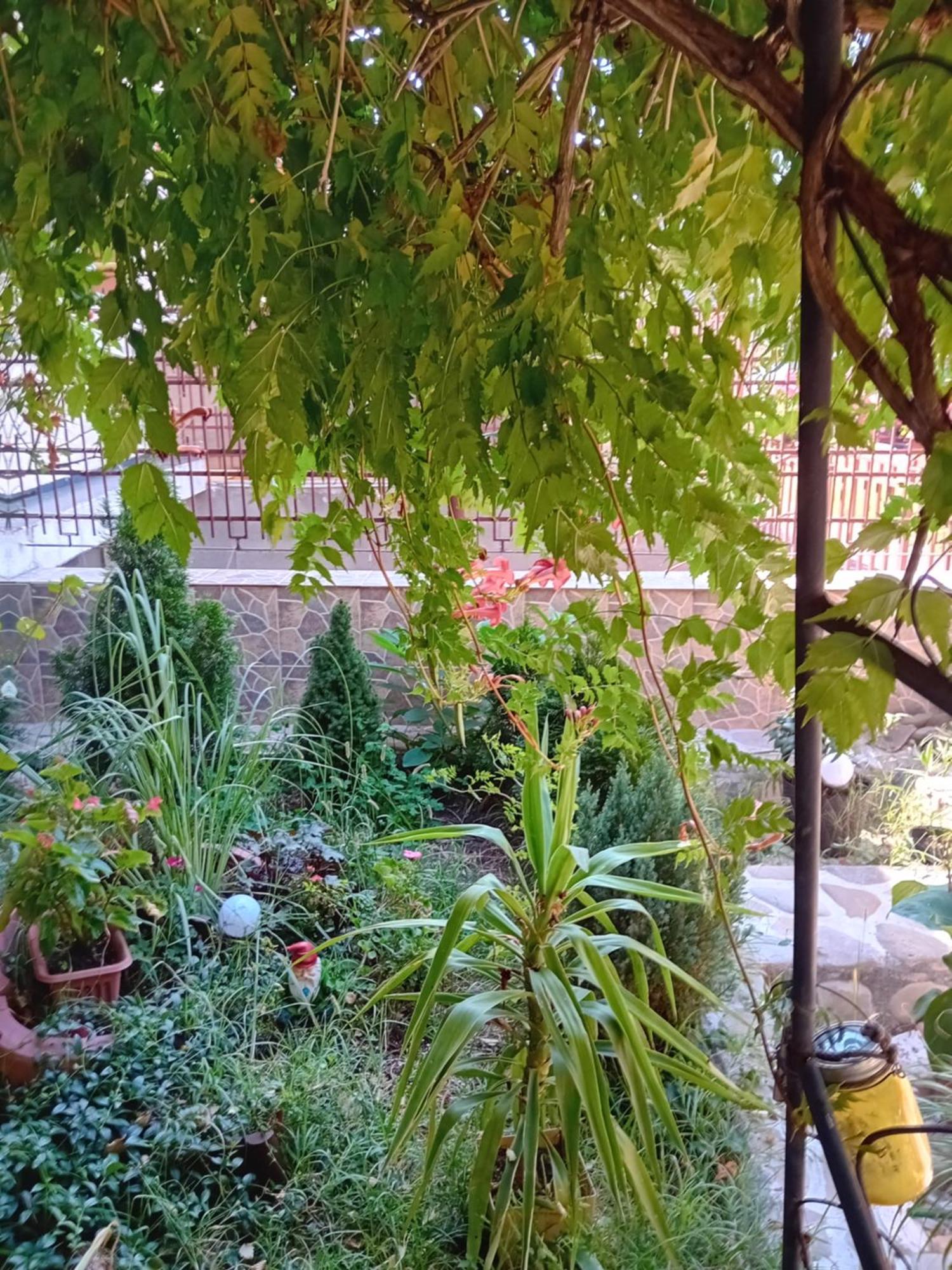 Apartament Cu Terasa La Casa Tina Timişoara Exterior foto