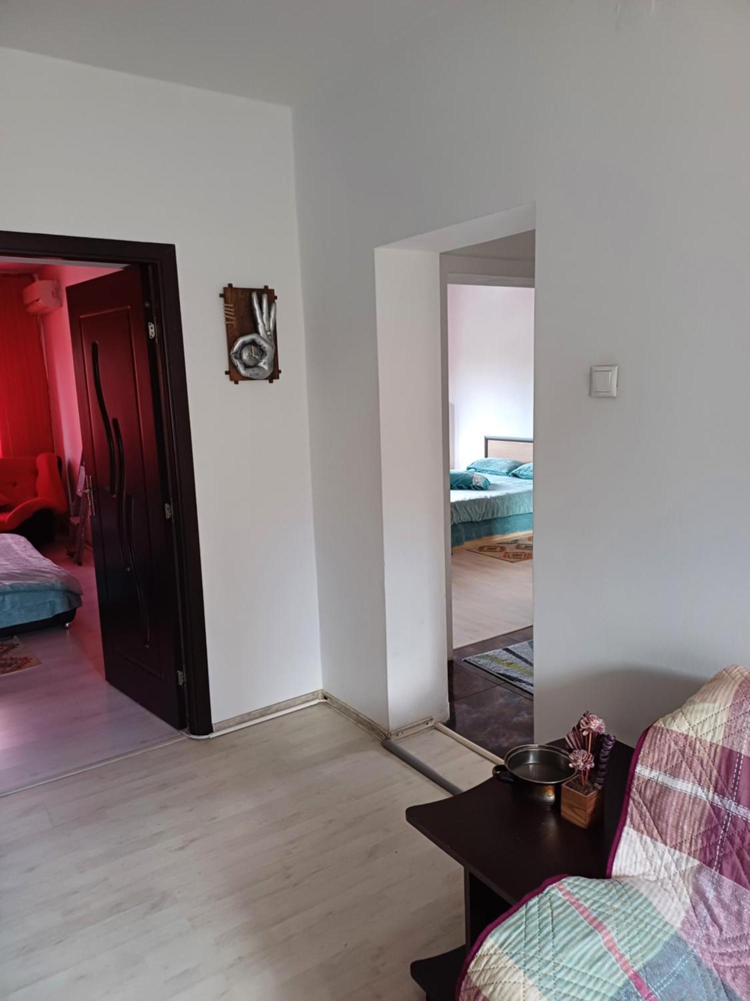 Apartament Cu Terasa La Casa Tina Timişoara Exterior foto