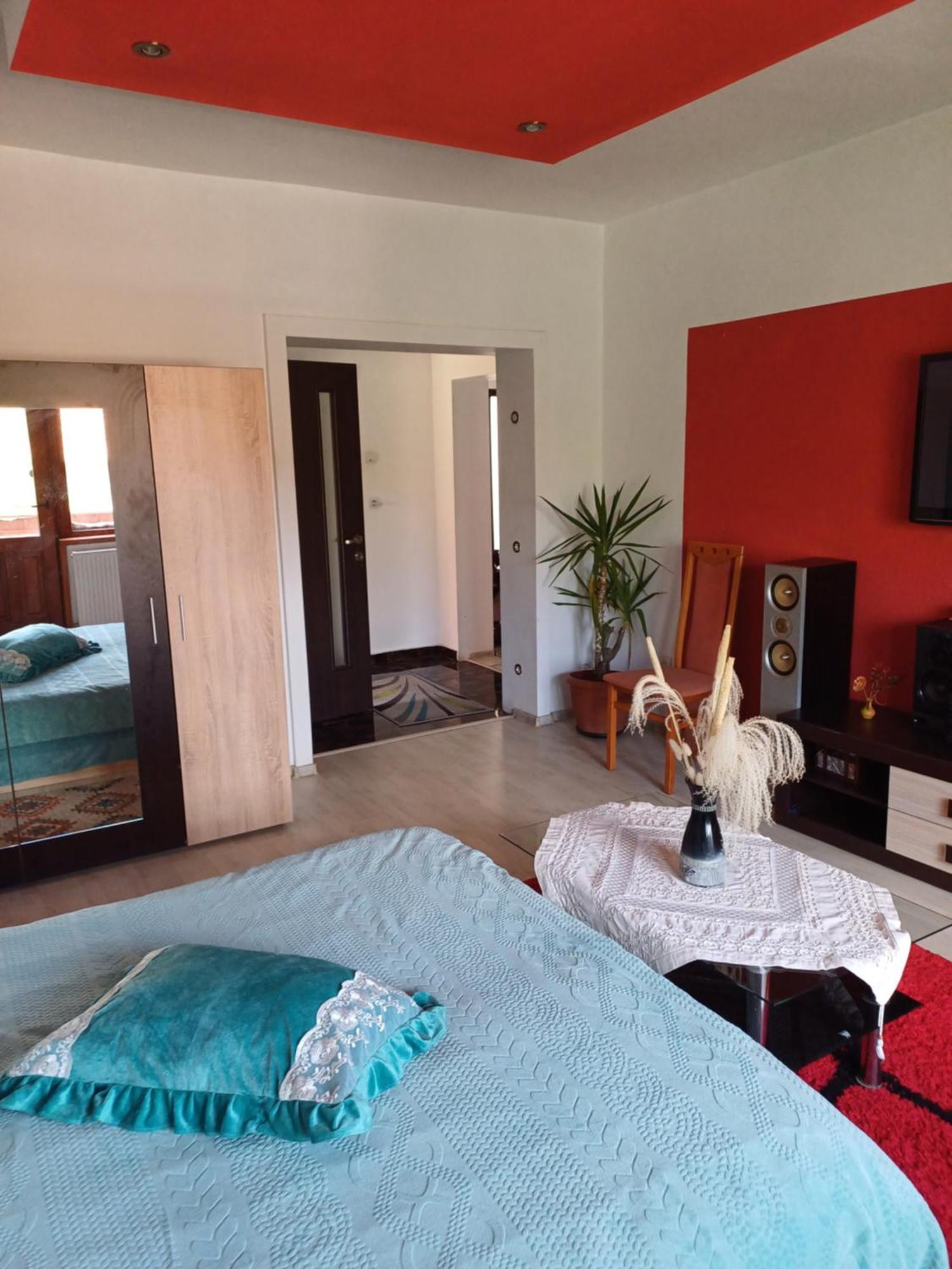 Apartament Cu Terasa La Casa Tina Timişoara Exterior foto